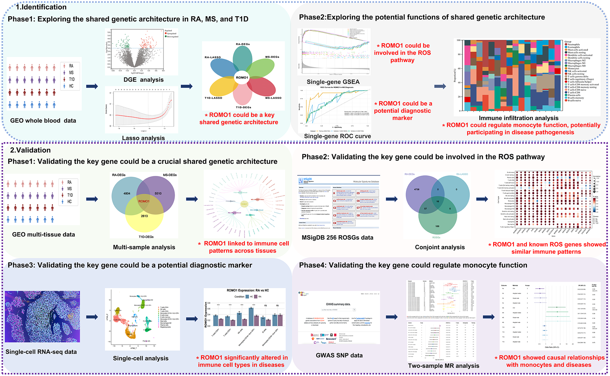 A Multi-omics approach to identify and validate shared genetic architecture in rheumatoid arthritis, multiple sclerosis, and type 1 diabetes: integrating GWAS, GEO, MSigDB, and scRNA-seq data
