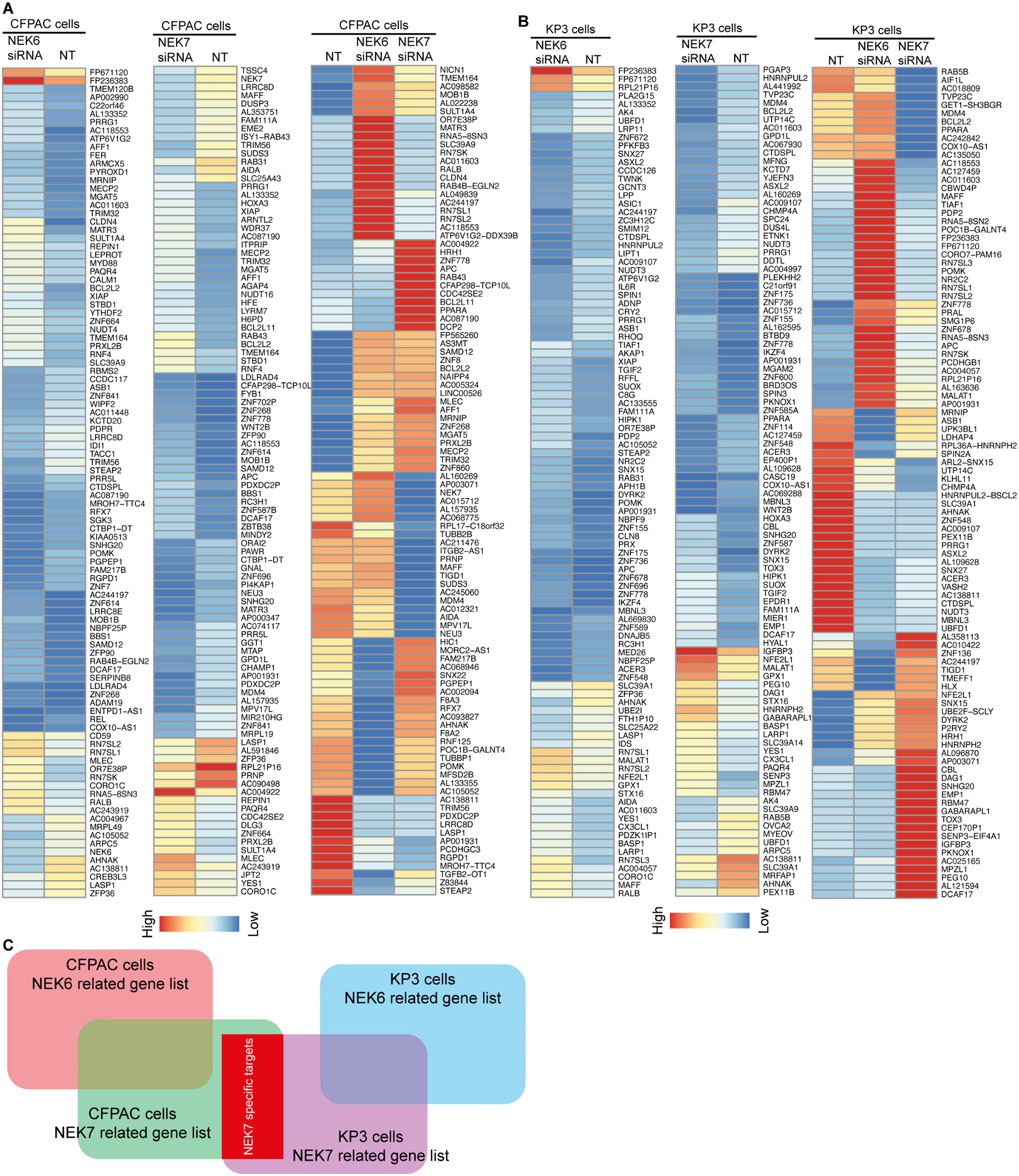 Identification of a NEK7-related pyroptosis gene signature against pancreatic cancer and evaluation of its potential in tumor microenvironment remodeling via regulating inflammasome complex