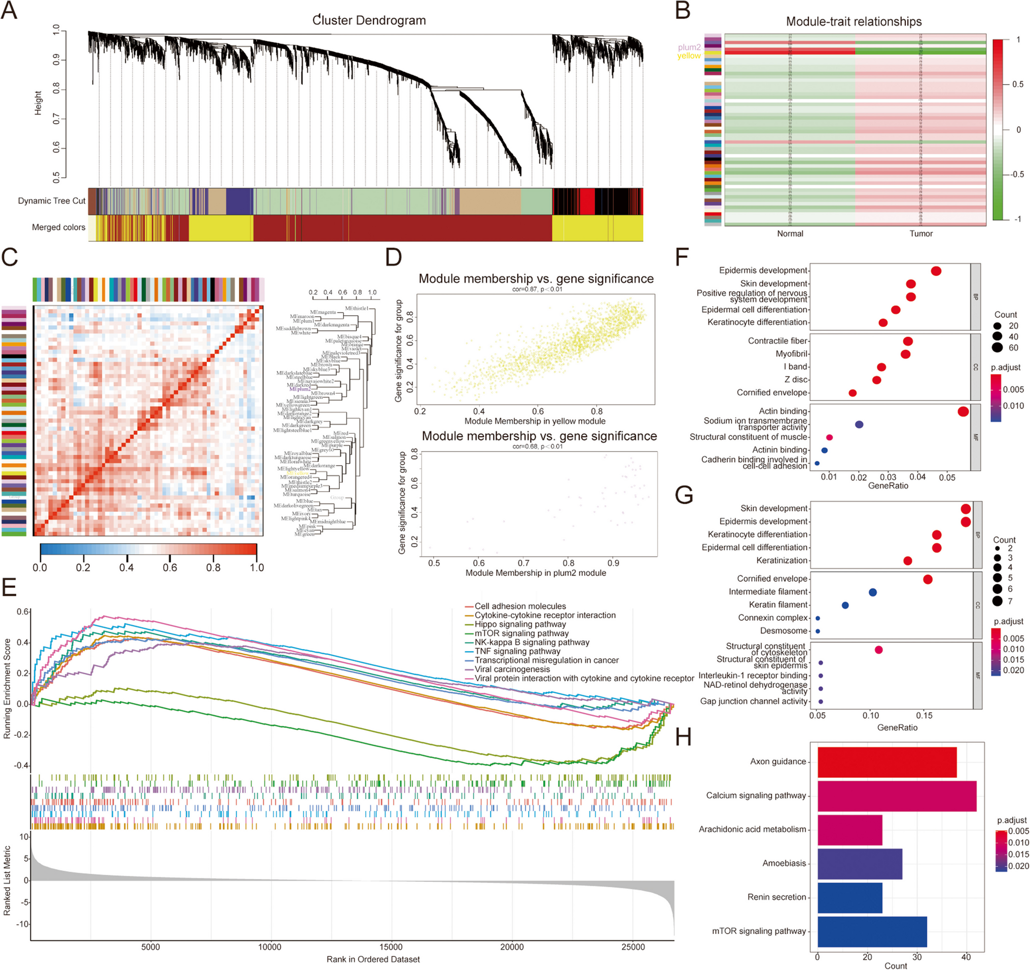 Multi-omic profiling identifies  as a predictor of immune infiltration and prognosis in gastroesophageal junction cancer