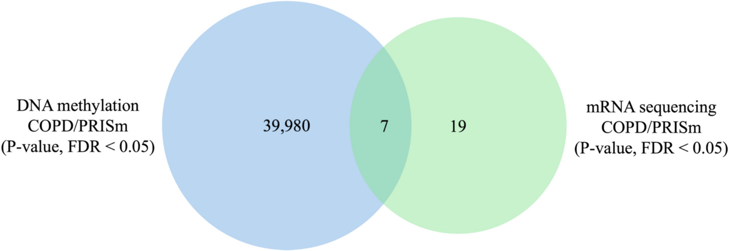 Epigenetic profiles integrated with transcriptomic reveal the difference between COPD and PRISm in KOCOSS-NIH