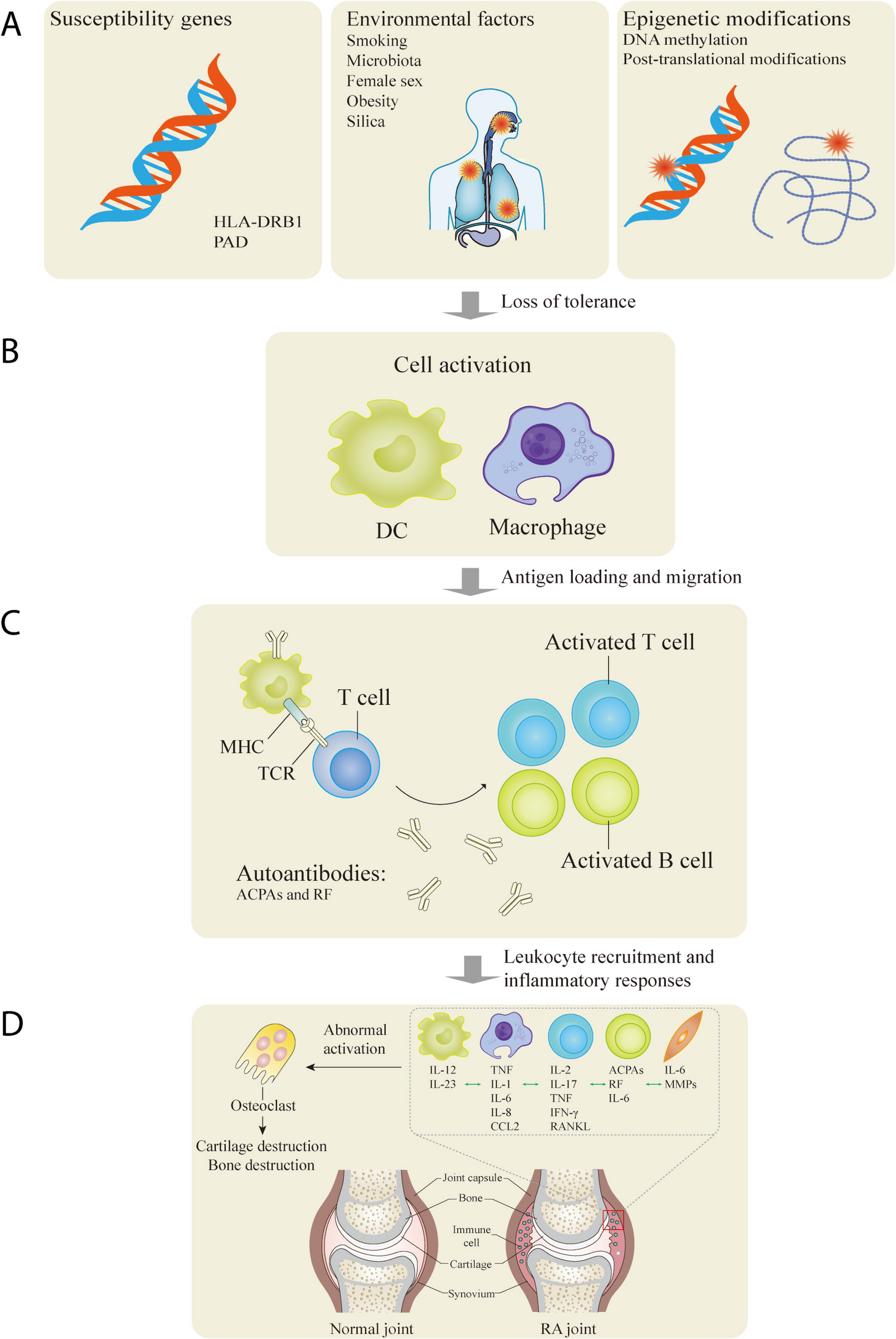 Roles of Immunity and Endogenous Retroelements in the Pathogenesis of Rheumatoid Arthritis and Treatment Strategies