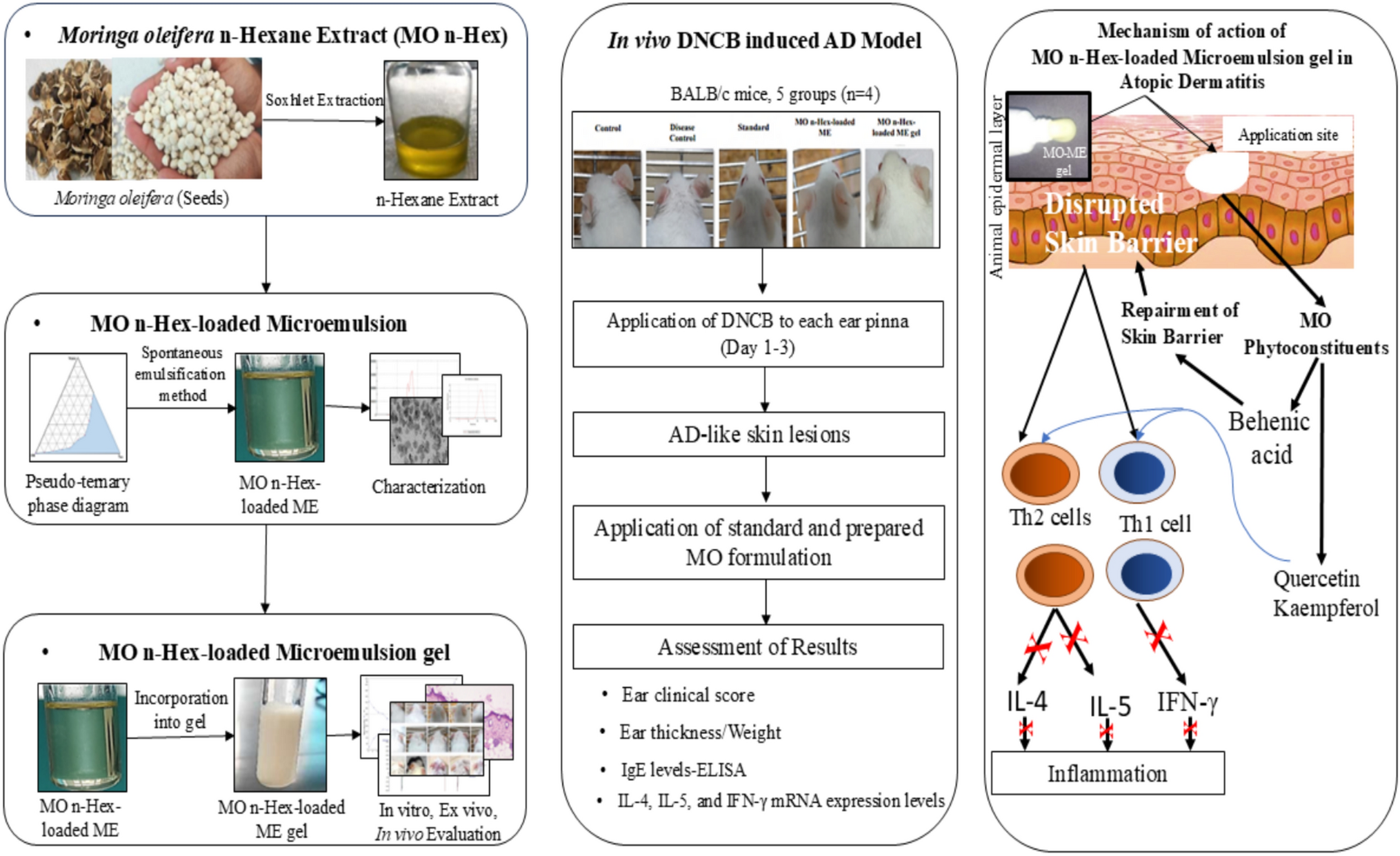 Exploring the potential of seed extract-loaded microemulsion hydrogel in the DNCB-induced atopic dermatitis model