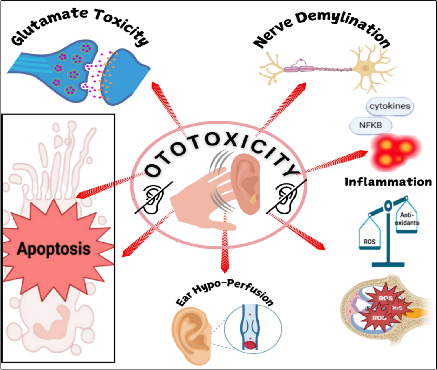 A comprehensive review of the impact of natural products in preventing drug-induced ototoxicity
