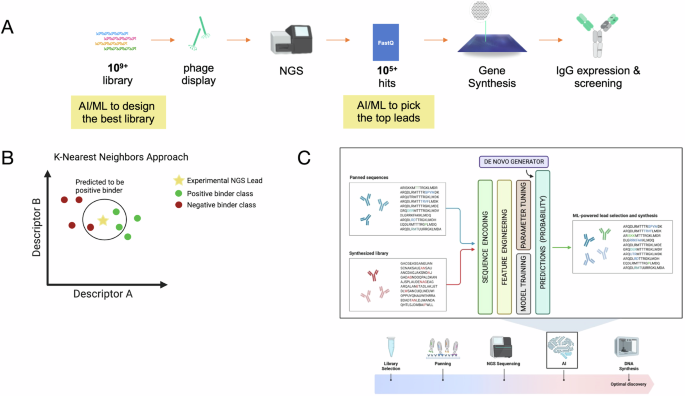 A multi-faceted discovery strategy identifies functional antibodies binding to cysteine-rich domain 1 of hDKK1 for cancer immunotherapy via Wnt non-canonical pathway