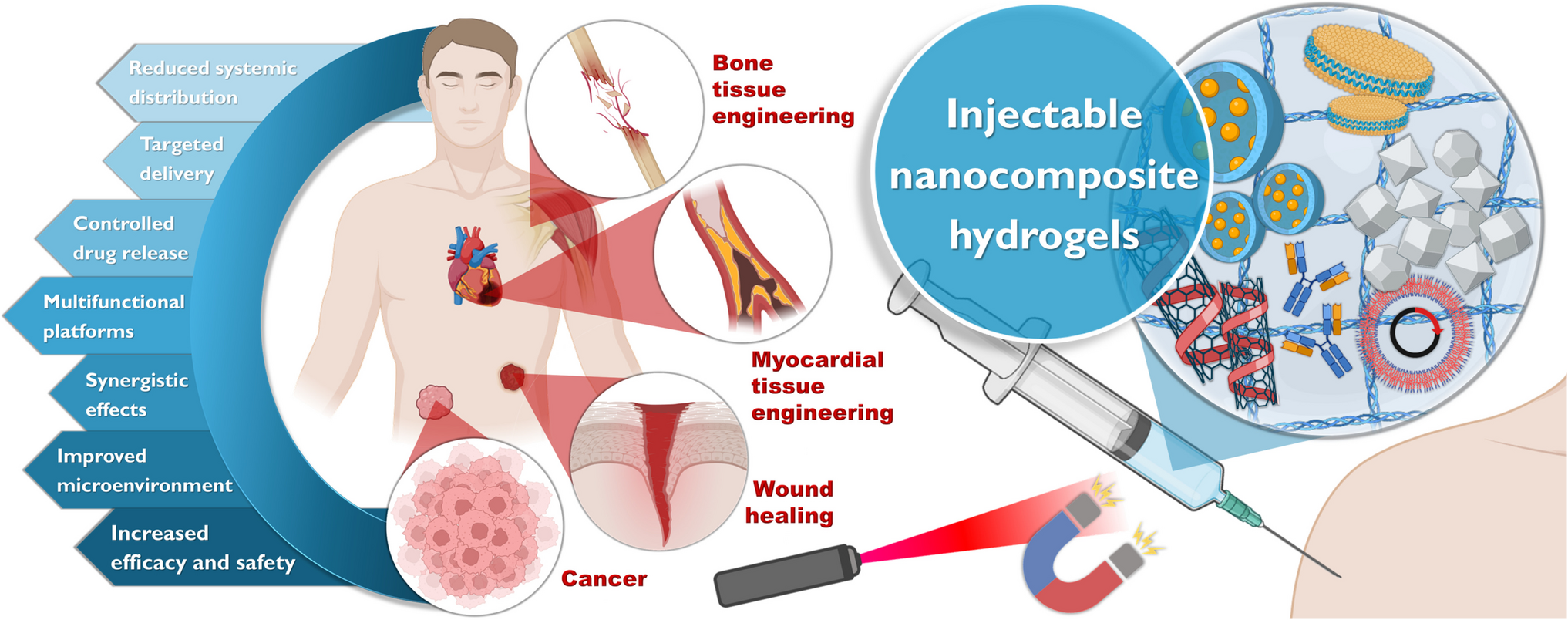 Injectable nanocomposite hydrogels for targeted intervention in cancer, wound healing, and bone and myocardial tissue engineering