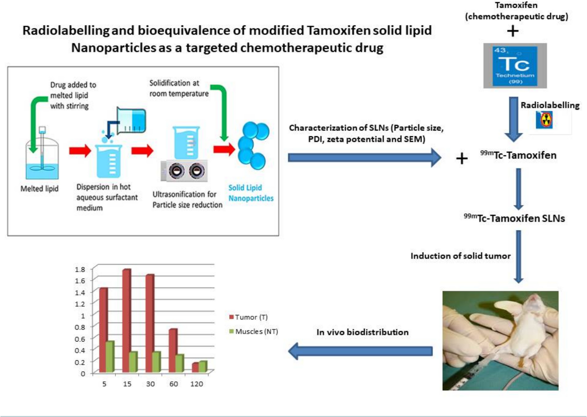 Radiolabelling and bioequivalence of modified Tamoxifen solid lipid nanoparticles as a targeted chemotherapeutic drug