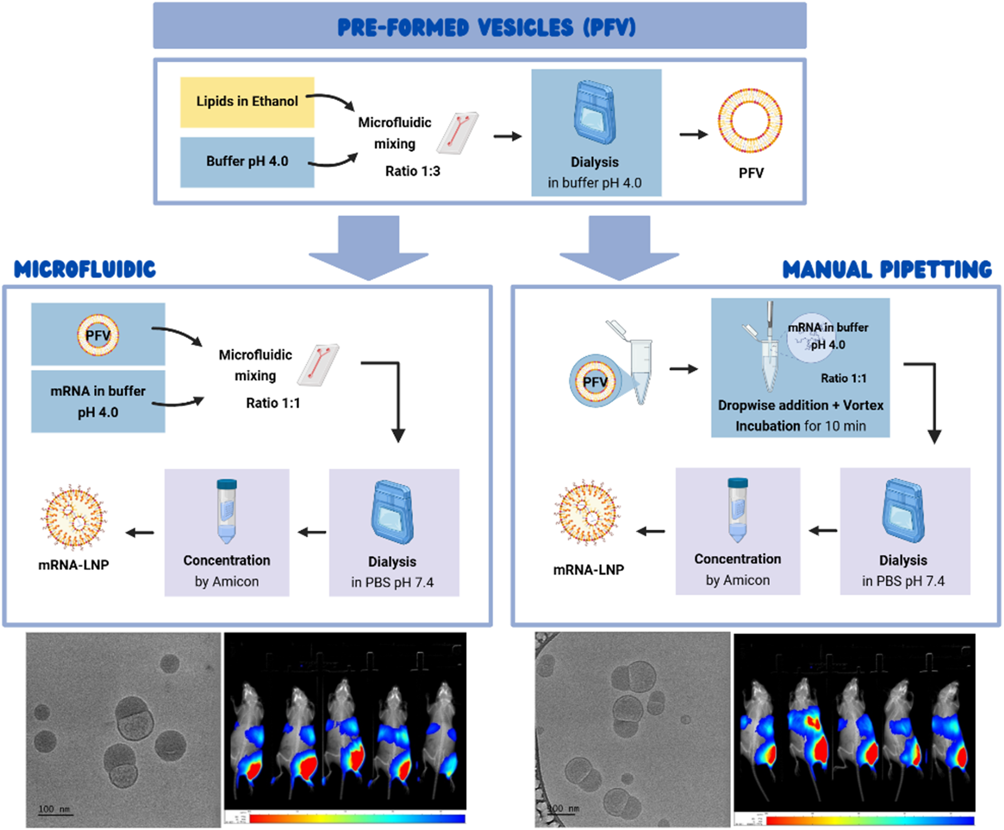 Post-encapsulation methods for the preparation of mRNA-LNPs