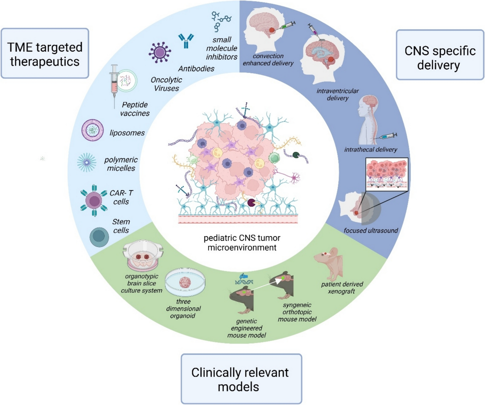 Therapeutic approaches for targeting the pediatric brain tumor microenvironment