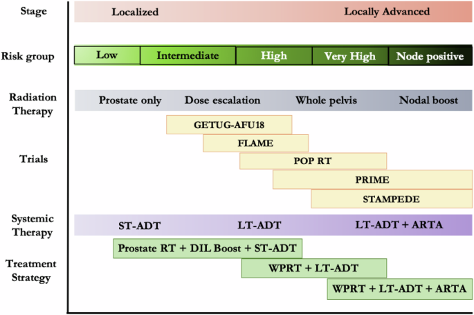 Abiraterone for “STAMPEDE-Like” cohort of high-risk prostate cancer in the PSMA-PET era: too much, too early?