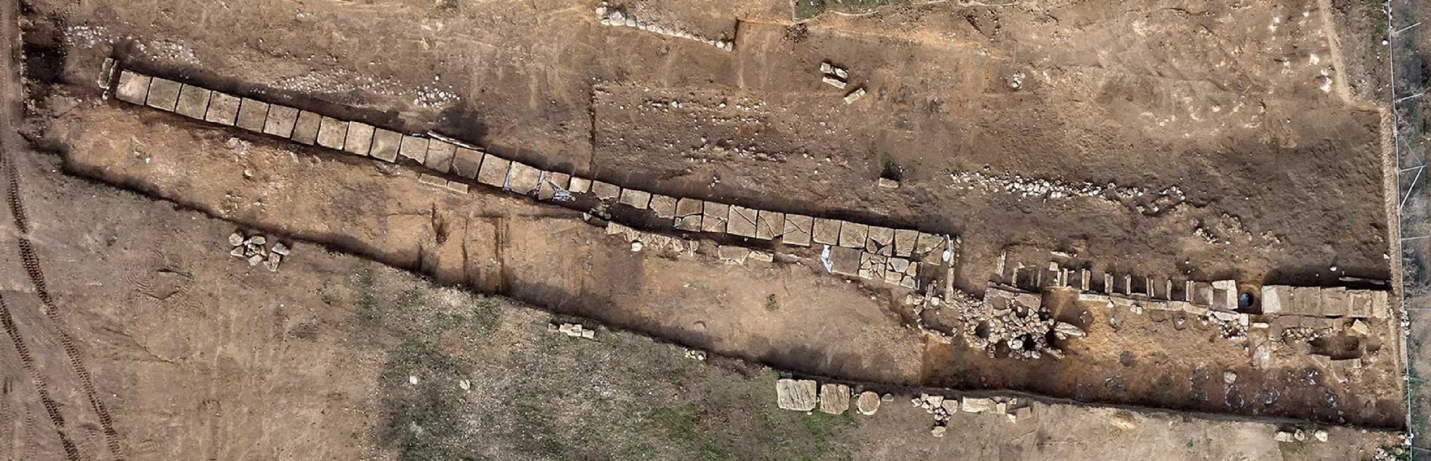 The mystery of Mont’e Prama: sculptures, acromegaly, and nuragic society