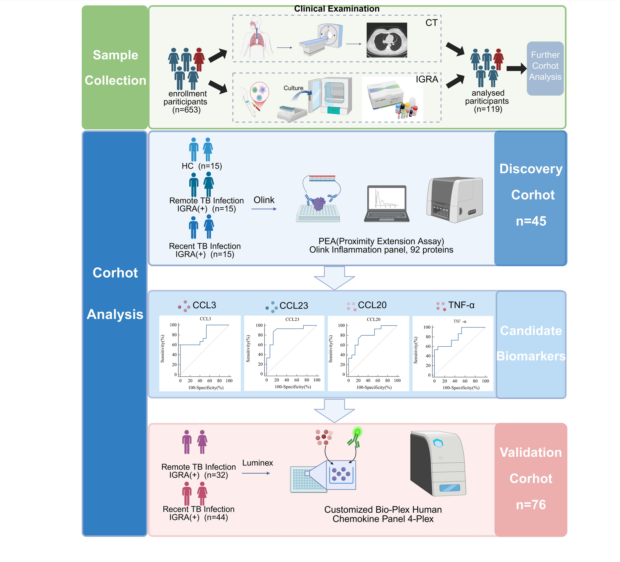 Antigen-specific chemokine CCL3 as a biomarker for distinguishing between recent and remote tuberculosis infection