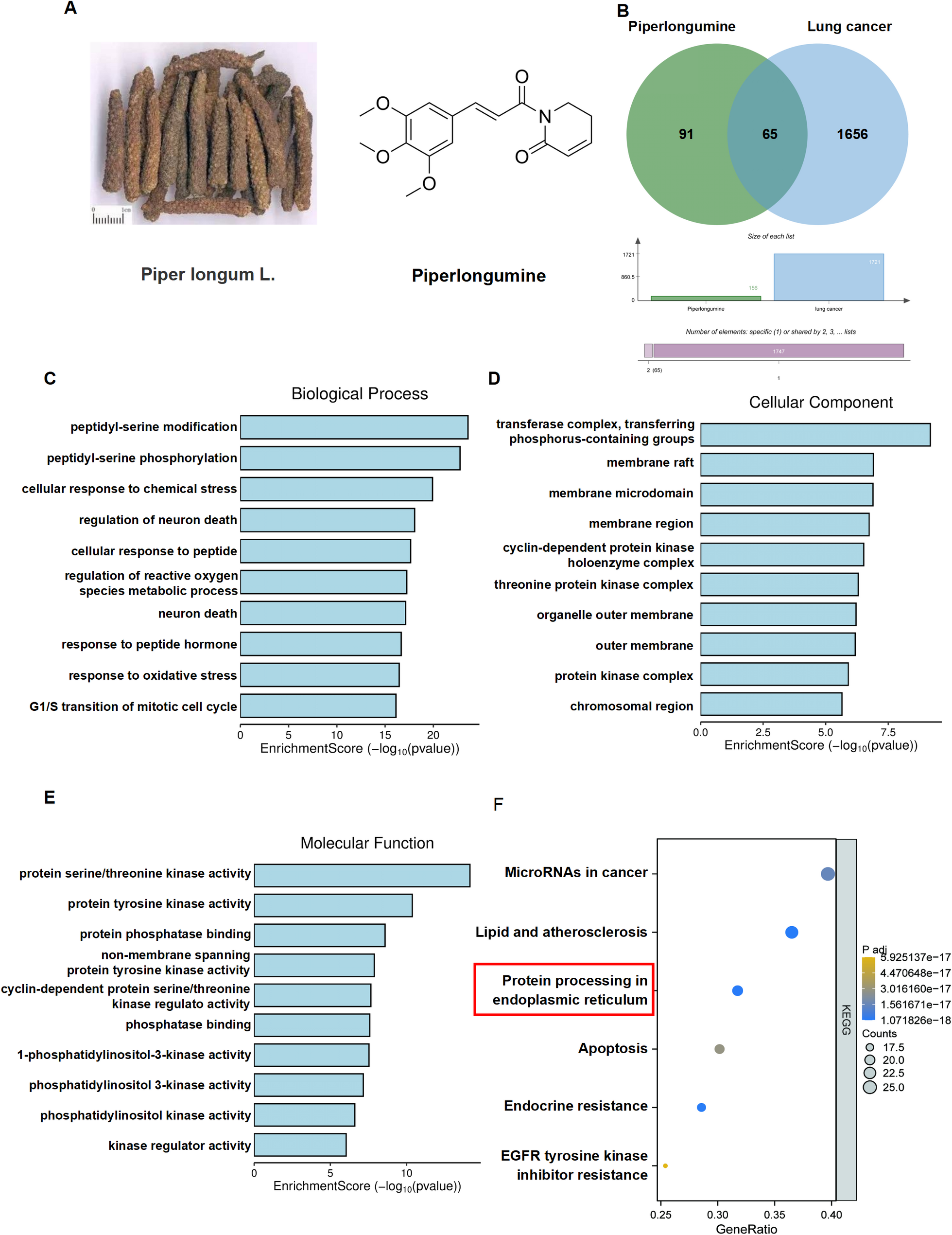 Piperlongumine Inhibits Lung Cancer Growth by Inducing Endoplasmic Reticulum Stress Leading to Suppression of M2 Macrophage Polarization
