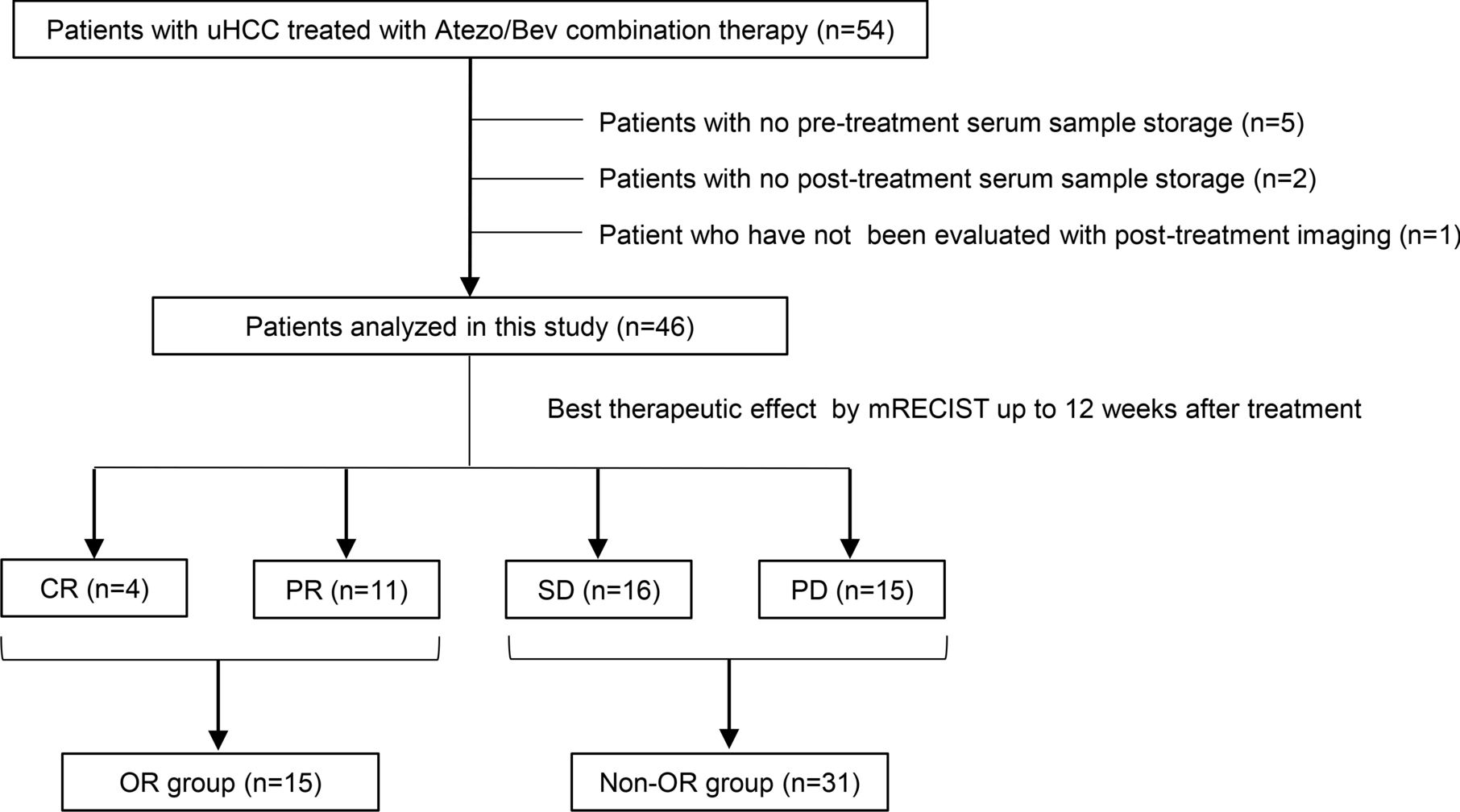 Circulating miR-485-3p as a biomarker for VEGF-associated therapeutic response to atezolizumab plus bevacizumab in hepatocellular carcinoma