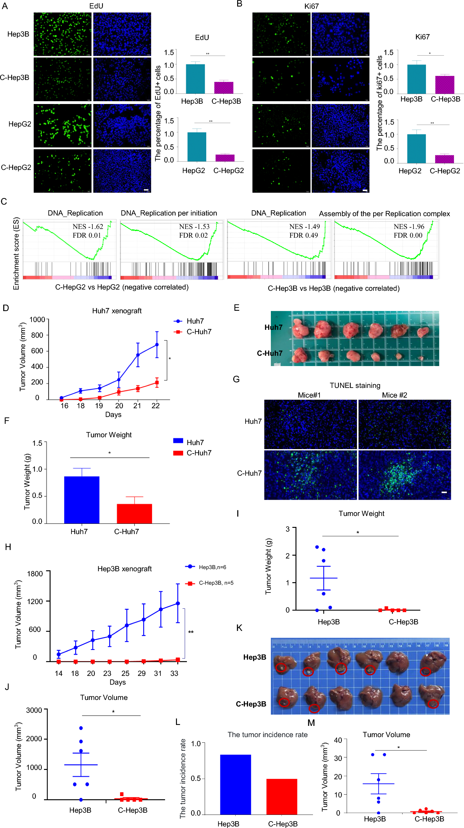 Inhibition of liver cancer cell growth by metabolites S-adenosylmethionine and nicotinic acid originating from liver progenitor cells