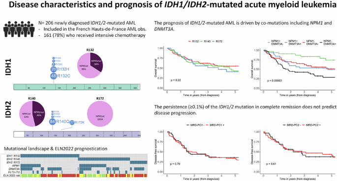 Disease characteristics and monitoring of IDH1/IDH2-mutated acute myeloid leukemia