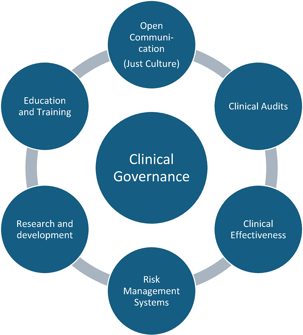 Same standards - different outcomes? Why clinical governance is essential to safe and consistent high-quality patient care