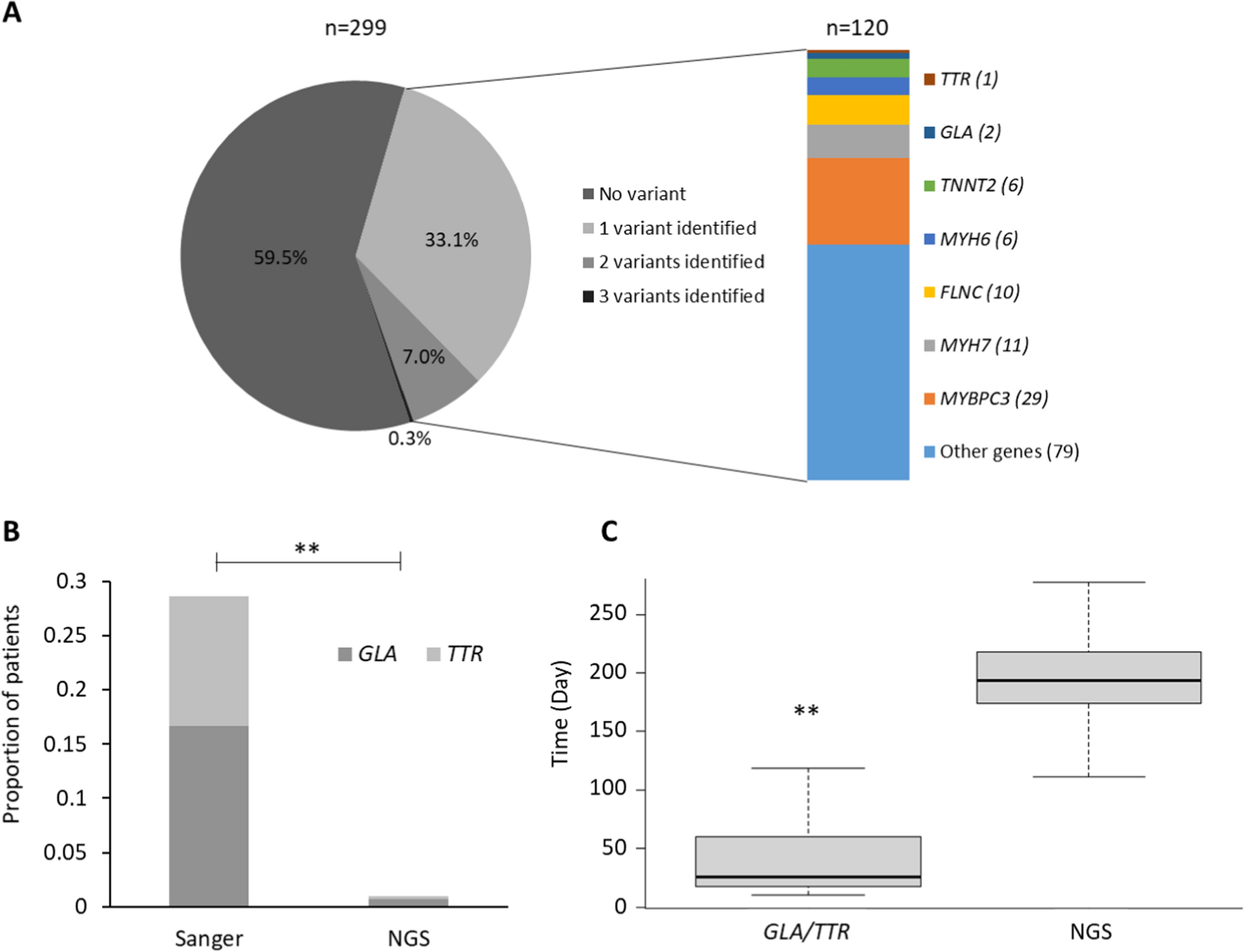 Comparison of two genetic strategies for diagnostic work-up of hypertrophic cardiomyopathy: impact on the diagnosis of Fabry disease or transthyretin amyloidosis