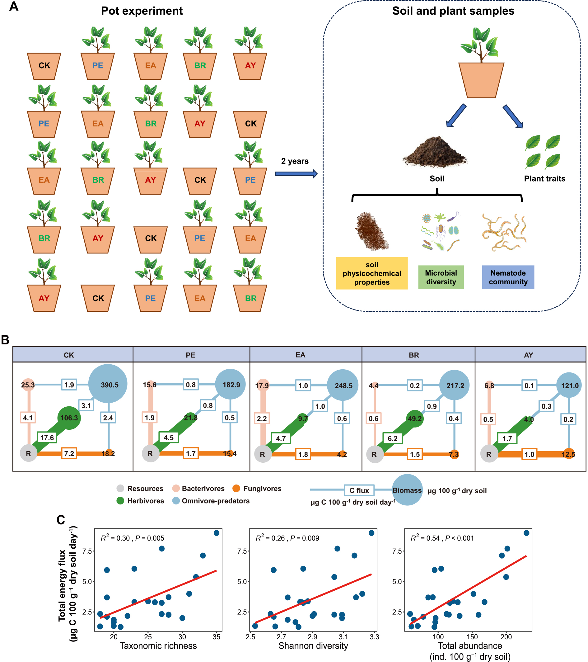 Negative effects of Euphorbiaceae cultivation on soil nematode communities in tropical soils