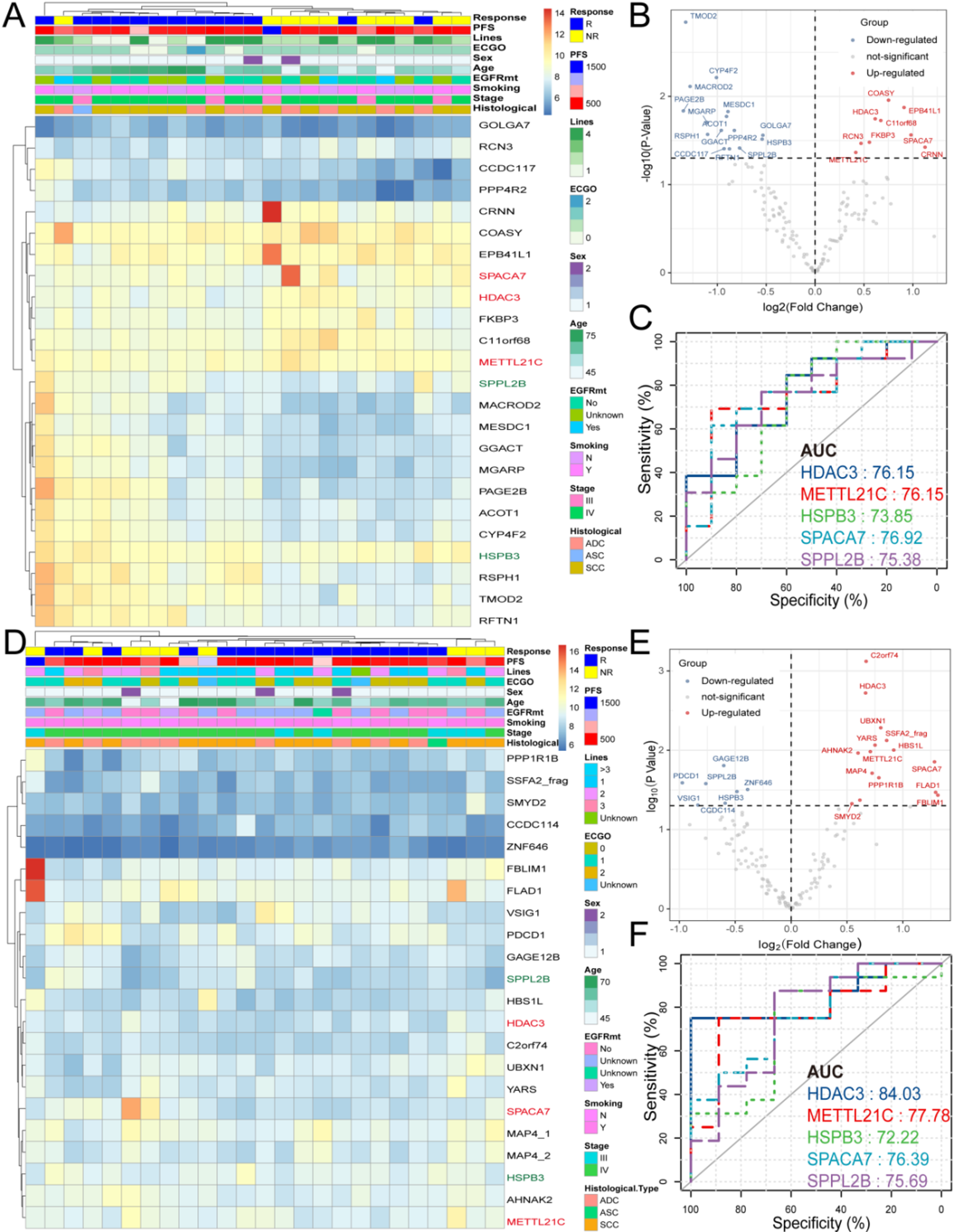 Unraveling the role of HDAC3 as an immunotherapy prognostic biomarker and therapeutic target in advanced non-small cell lung cancer