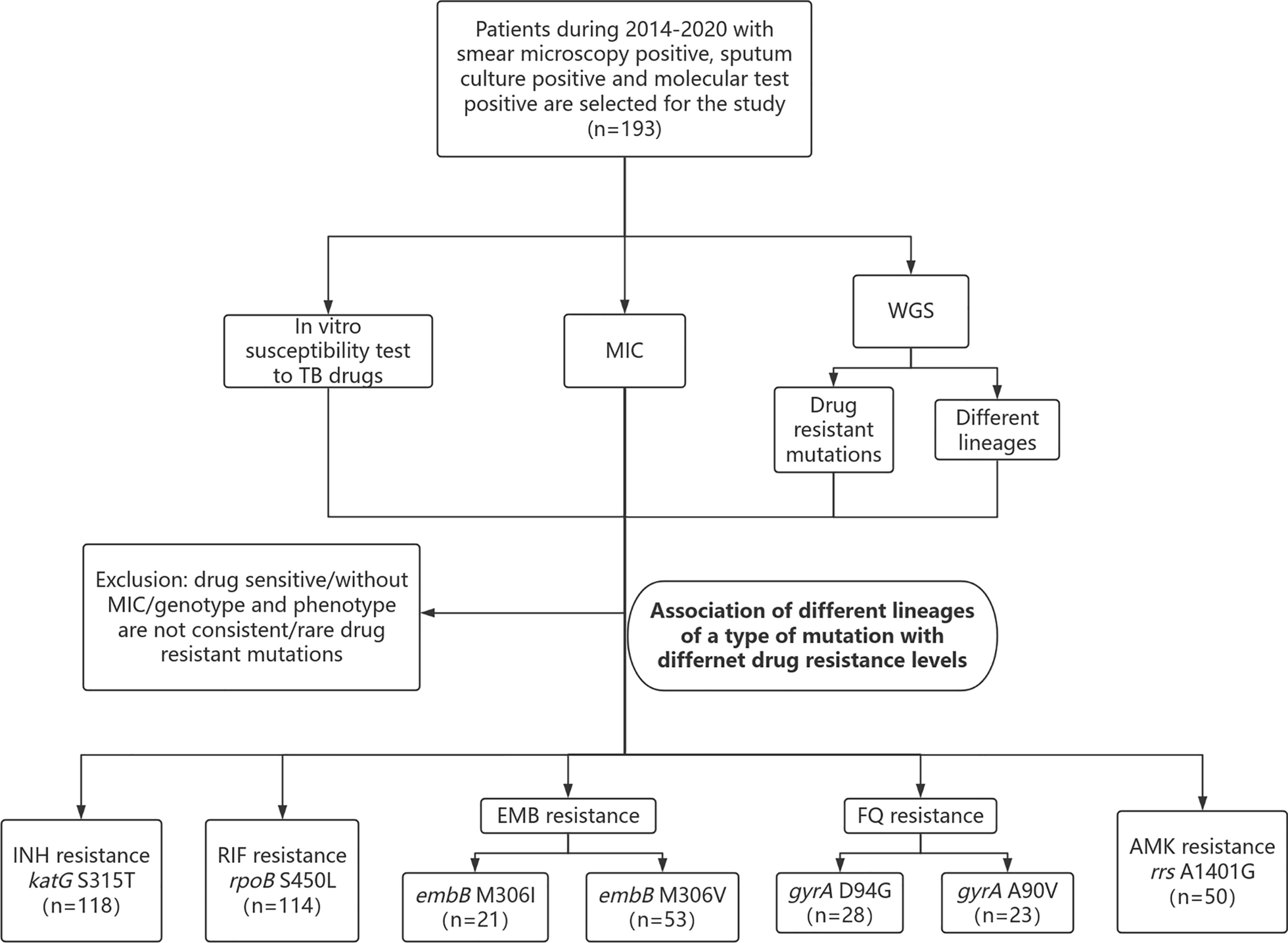Impact of sublineage diversity on intrinsic susceptibility of Beijing genotype Mycobacterium tuberculosis