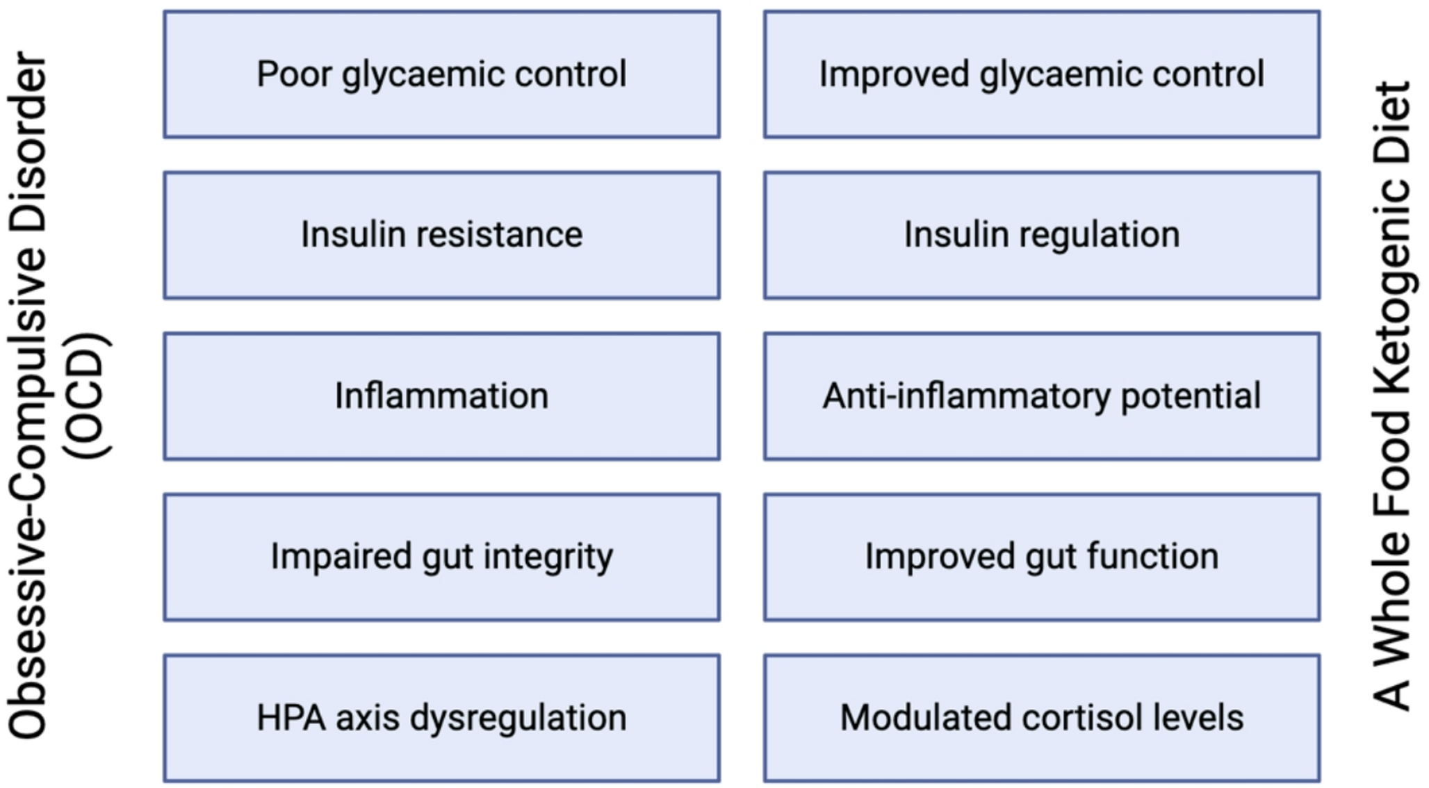 Whole Food and Ketogenic-Informed Dietary Interventions for OCD: A Metabolic Perspective