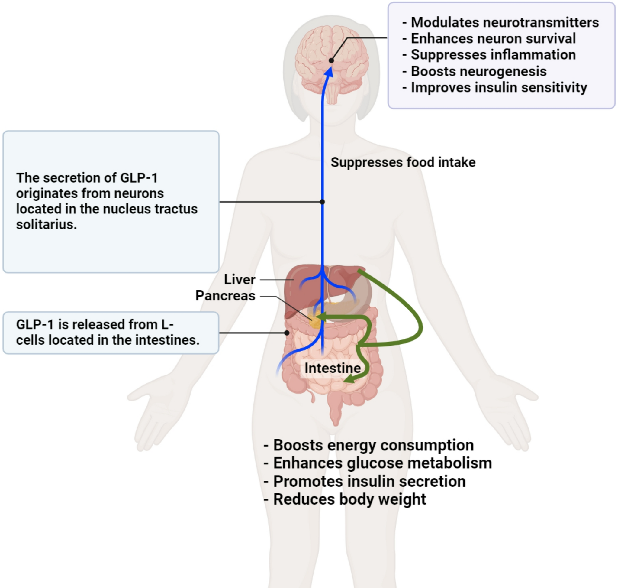 Metabolic resilience: liraglutide’s potential in alleviating depressive symptoms