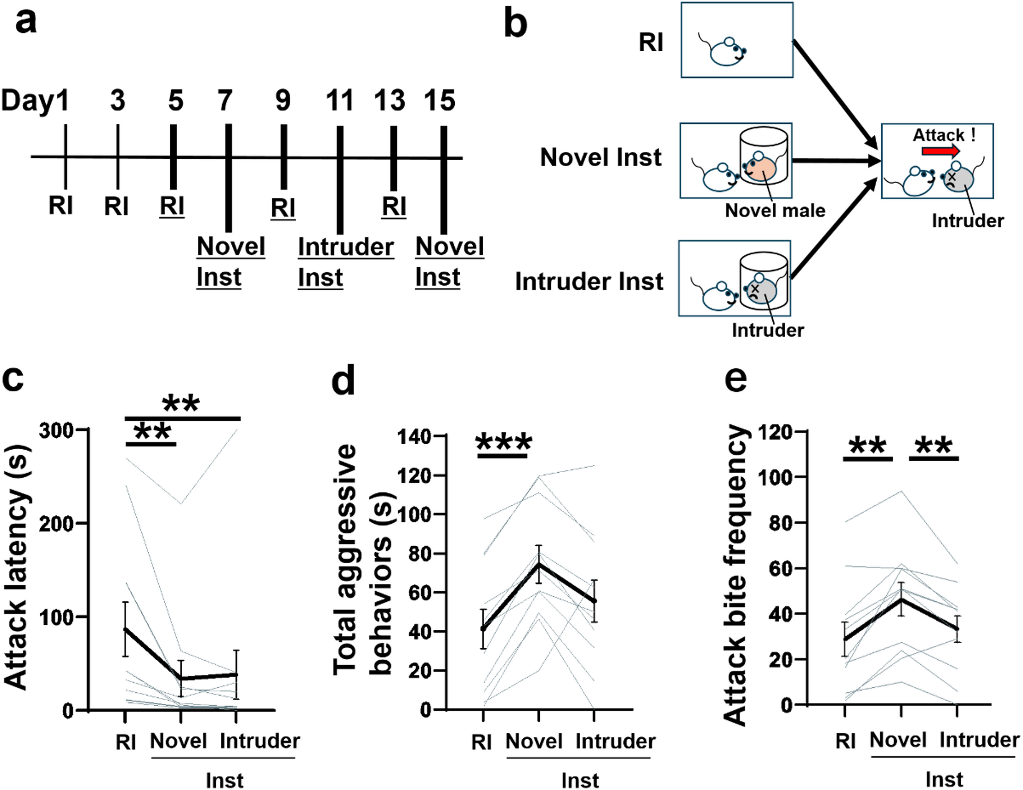 Aggression is not blind: dominance and social history modulate murine responses to social instigation