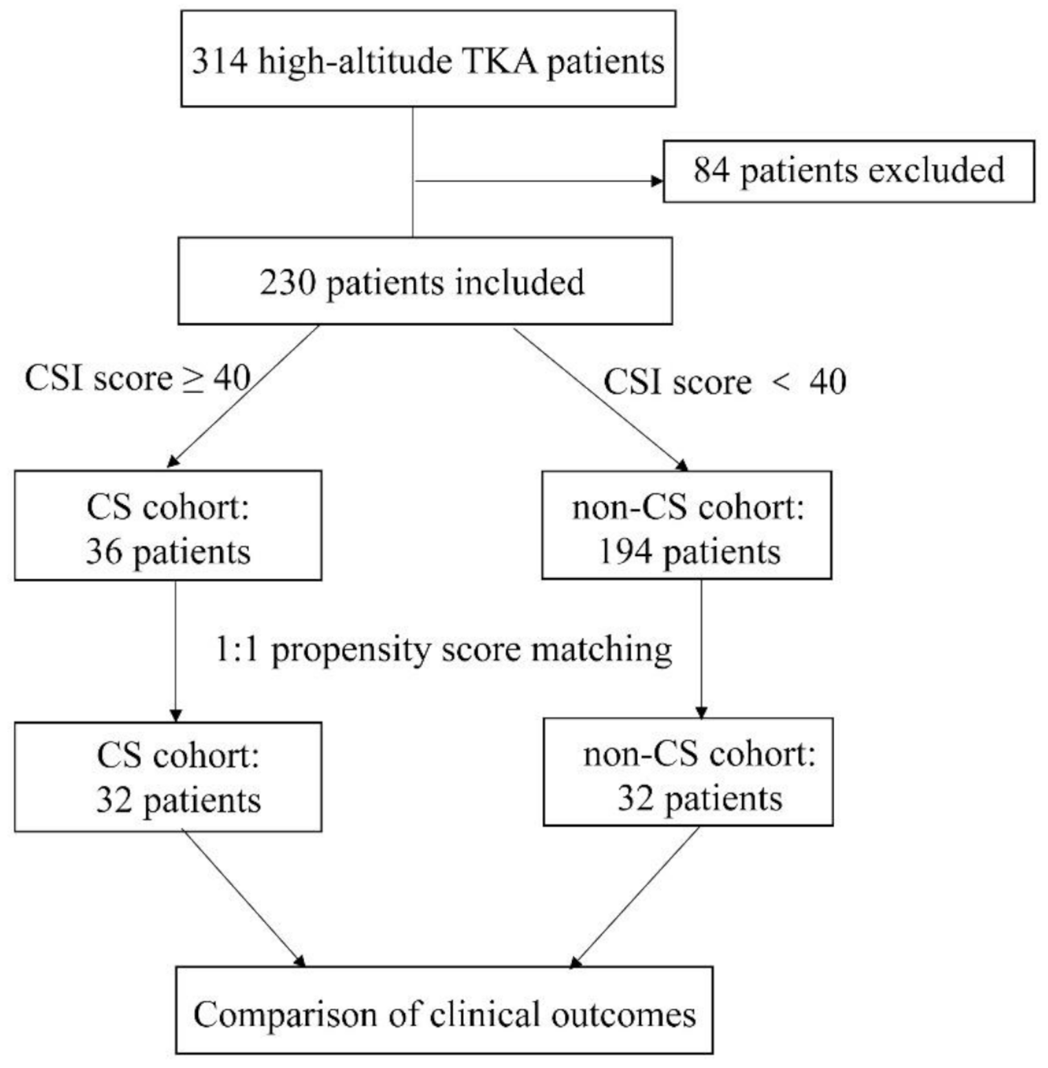 Prevalence, associated factors, and short-term impact of central sensitization in high-altitude patients undergoing total knee arthroplasty