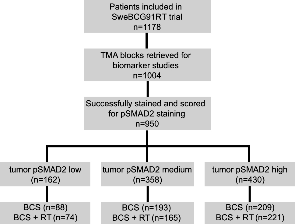 Tumoral pSMAD2 as a prognostic biomarker in early-stage breast cancer: insights from the randomized SweBCG91RT trial