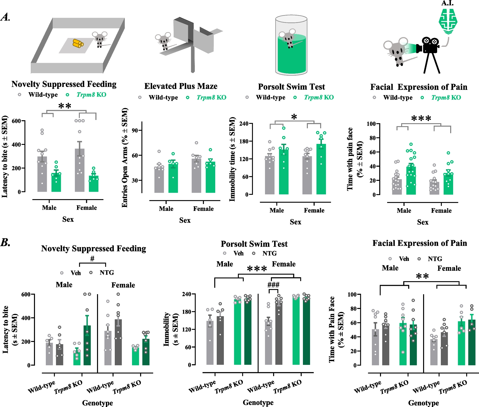 Cold receptor TRPM8 as a target for migraine-associated pain and affective comorbidities