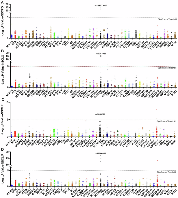 Novel susceptibility gene SLC23A2 functions via PI3K-AKT-mTOR pathway in etiology of non-syndromic cleft palate