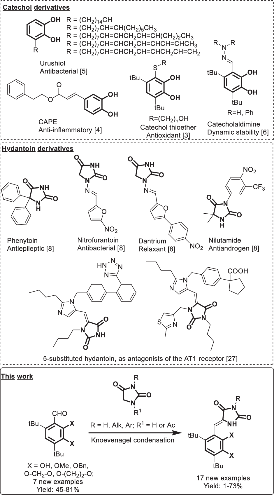 Synthesis and in vitro study of a novel catechol with a hydantoin core