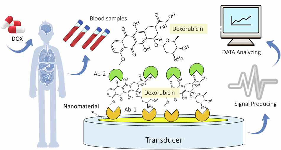 Nanosensing doxorubicin: a new frontier in medicinal chemistry