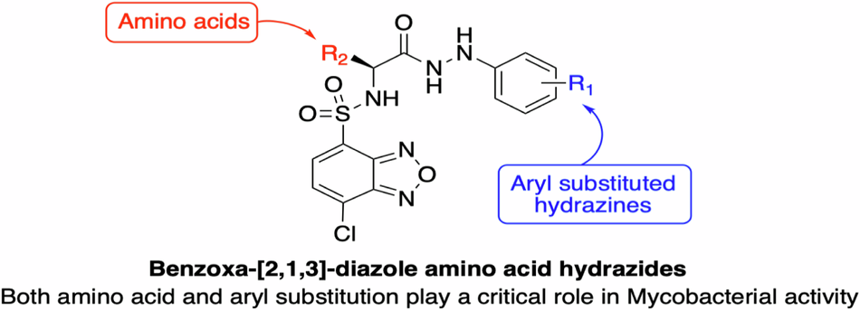Benzoxa-[2,1,3]-diazole substituted amino acid hydrazides as therapeutics for drug-resistant