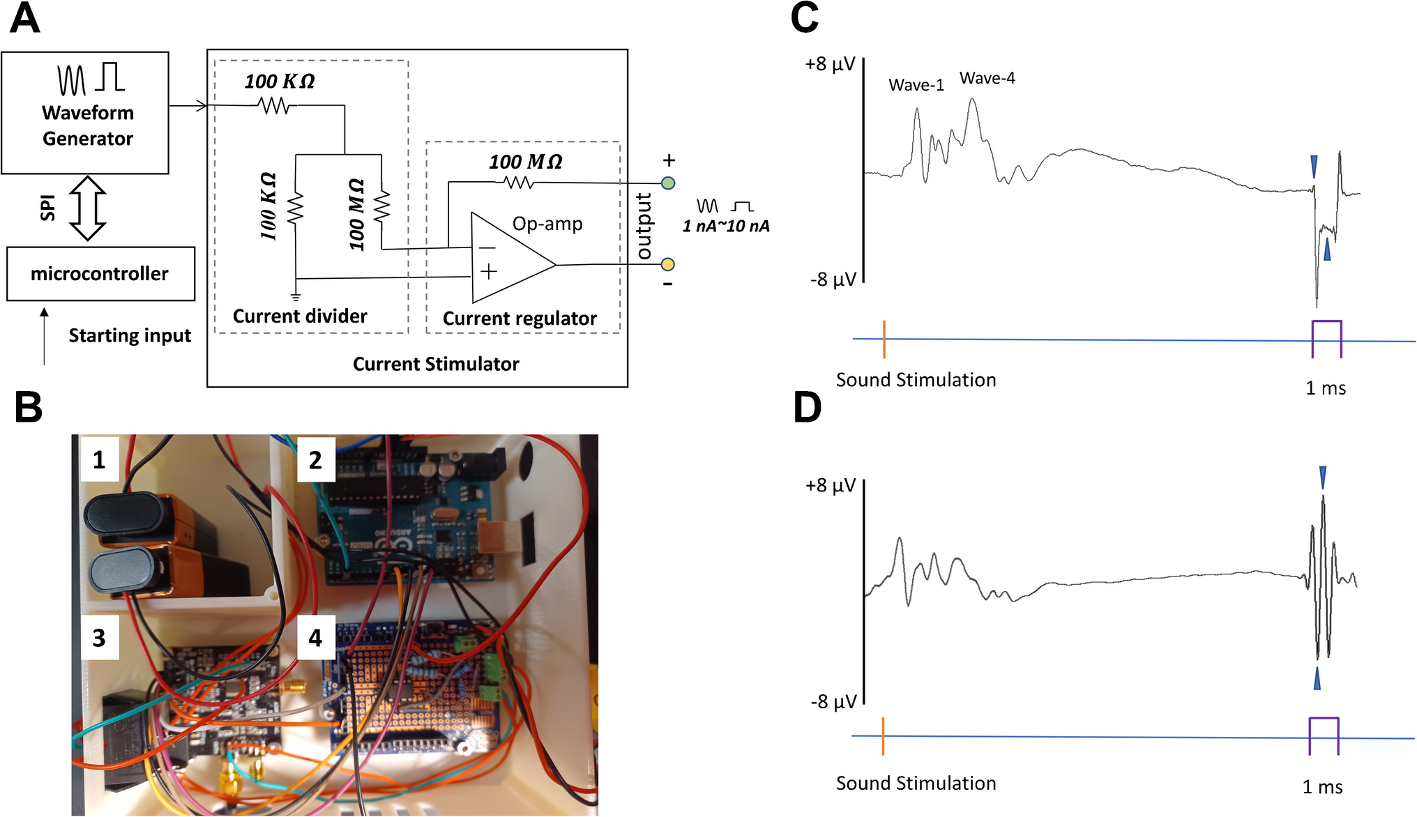 Developing a Calibration Method to Minimize Variability in Auditory Evoked Potentials