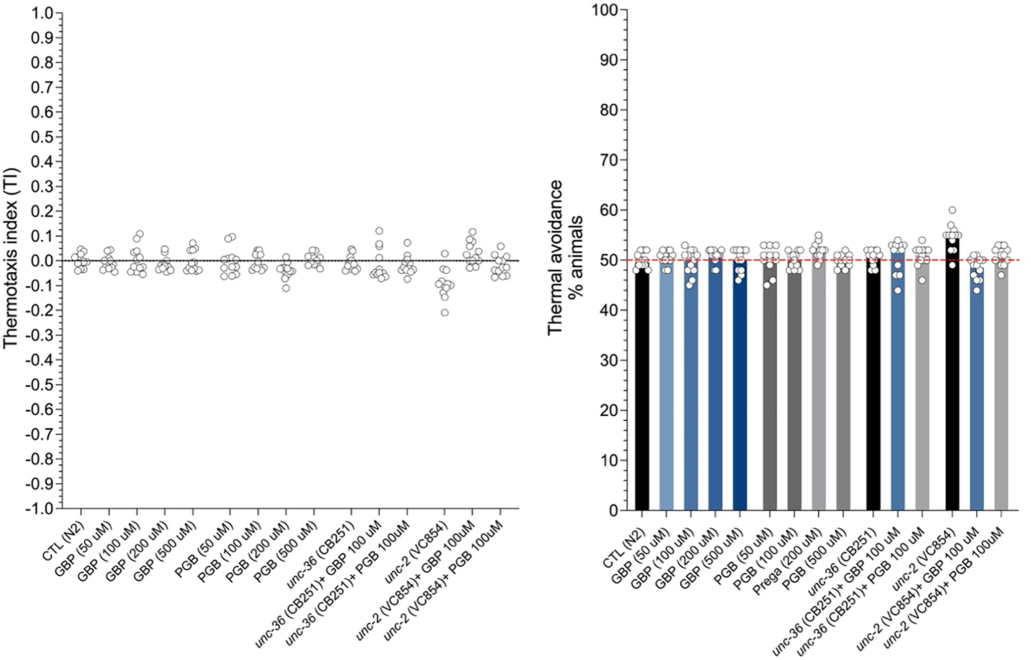Voltage-Gated Calcium Channels Play a Central Role in  Response to Noxious Heat