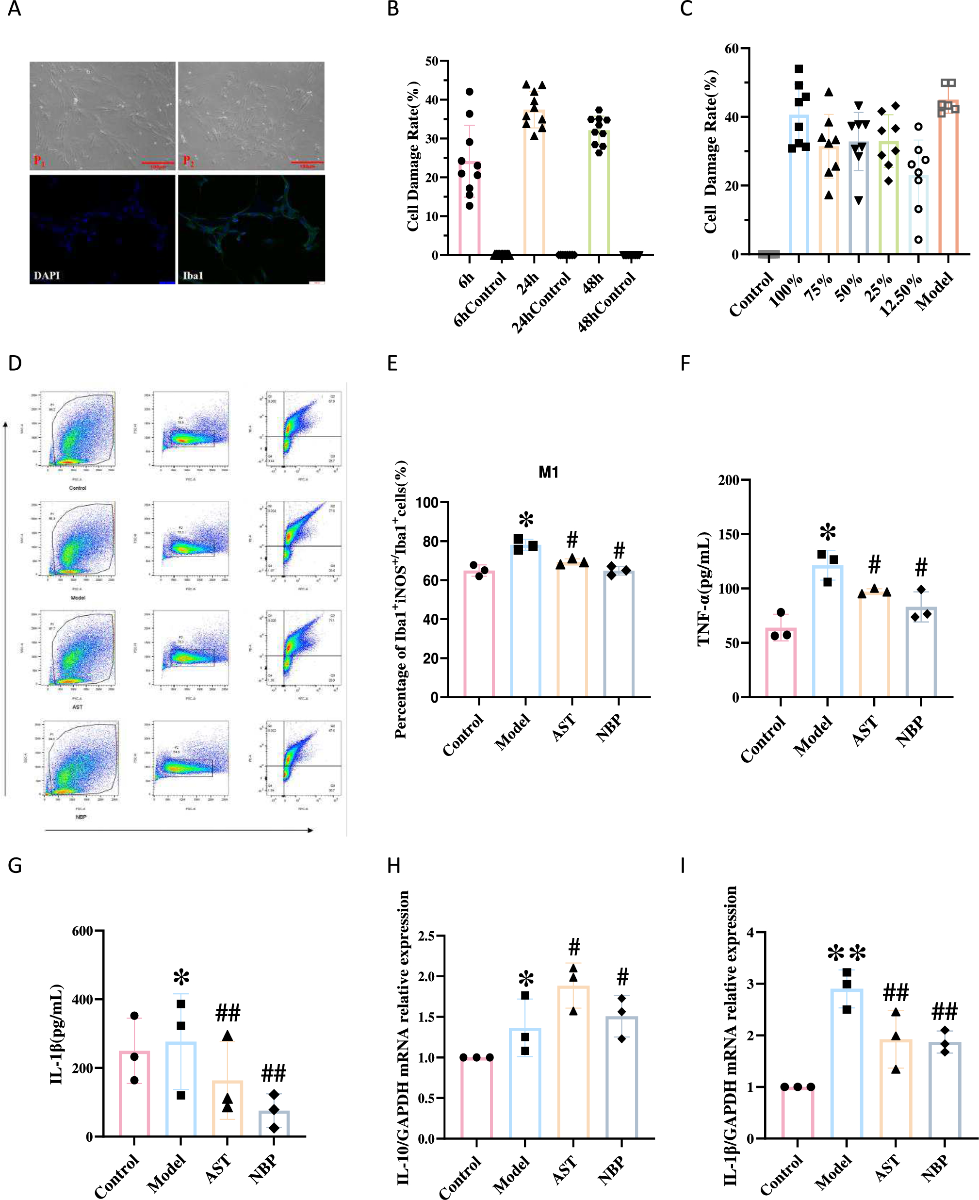 Astragaloside’s Role in Microglial Neuroinflammation: A Multi-Method Study Combining Experimental and Computational Analyses