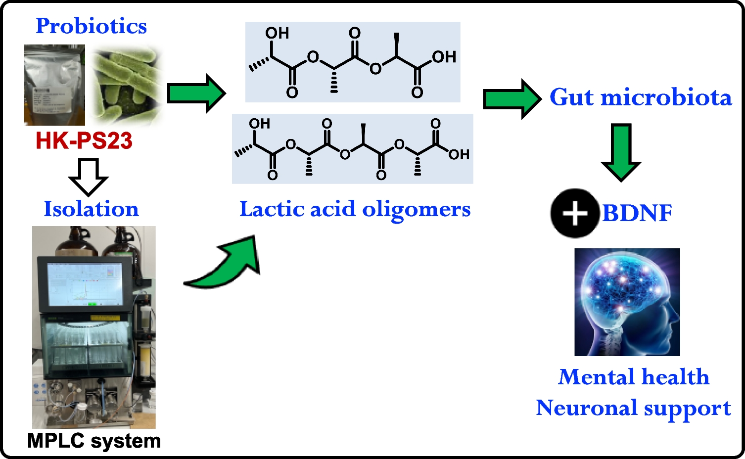 Neuroprotective Potential of Lactic Acid Oligomers Derived from Heat-Killed  HK-PS23