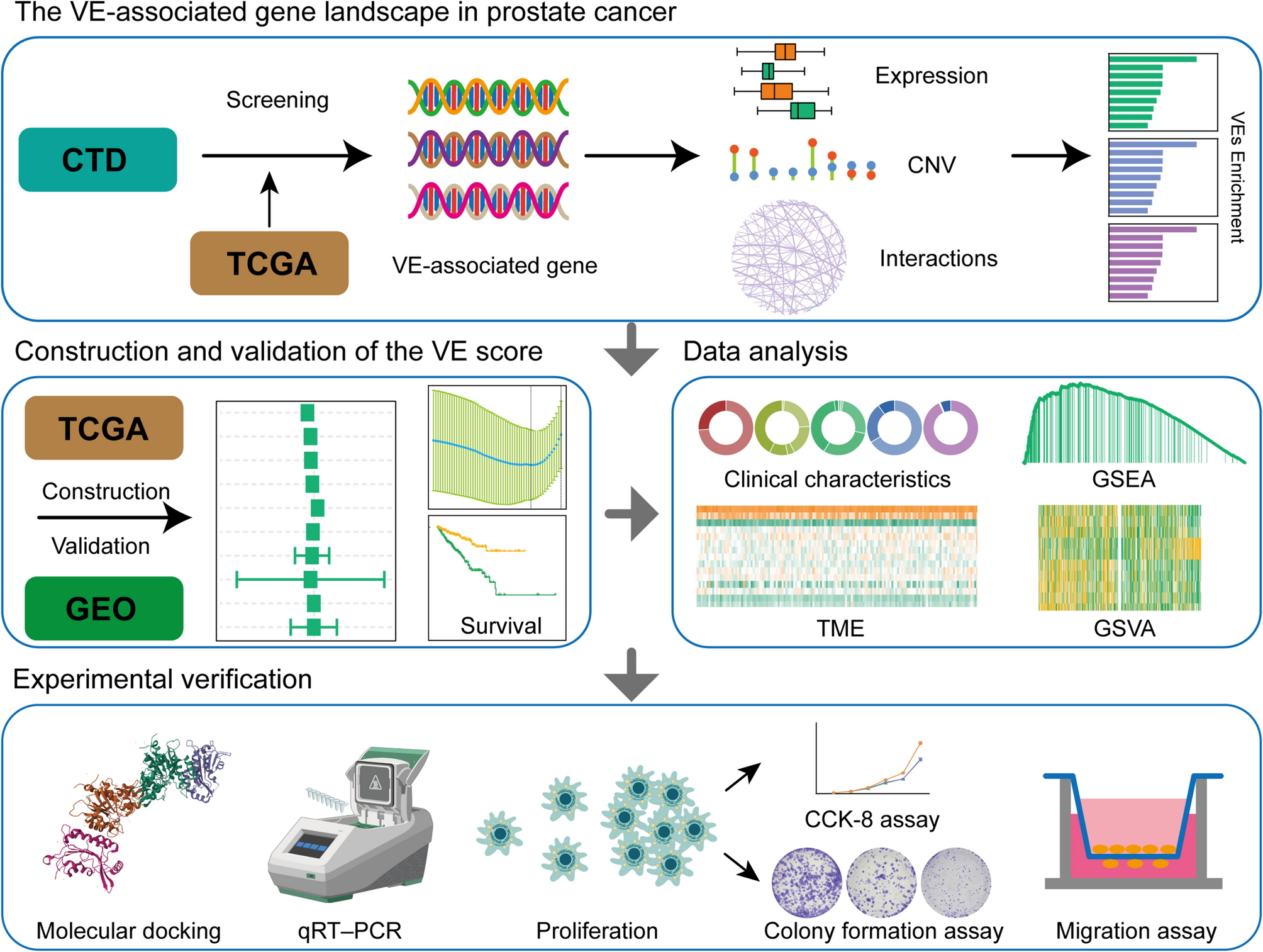 Environmental interpretation of the impact of vehicle emissions on prostate cancer progression