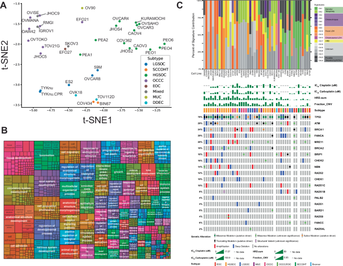 Cell-intrinsic platinum response and associated genetic and gene expression signatures in ovarian cancer