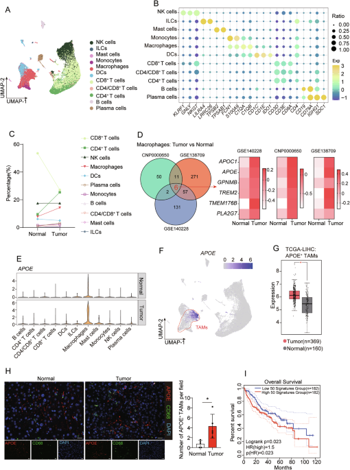 APOE deficiency triggers anti-tumour activity of macrophages in liver cancer