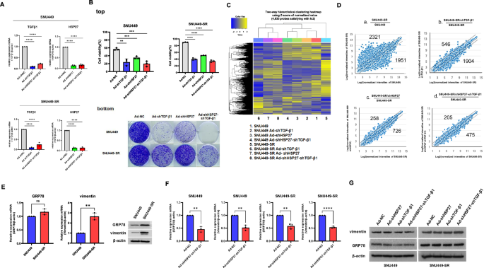 Combined downregulation of TGF-β1 and GRP78 is responsible for overcoming acquired sorafenib resistance, which is initiated by rewiring the cell surface CD44-GRP78-IGF-1R signaling circuit