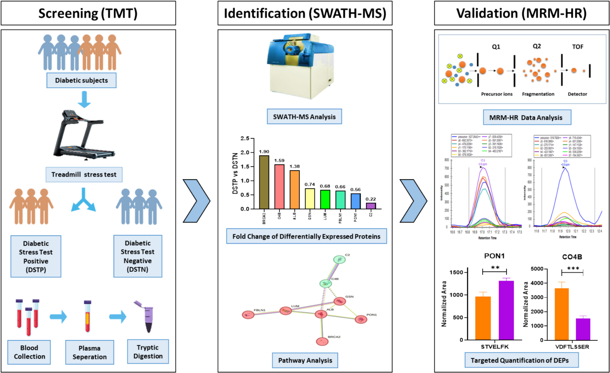 The Proteome Profile of Stress Test Assessed Cardiovascular Disease Risk-Prone Diabetic Subjects