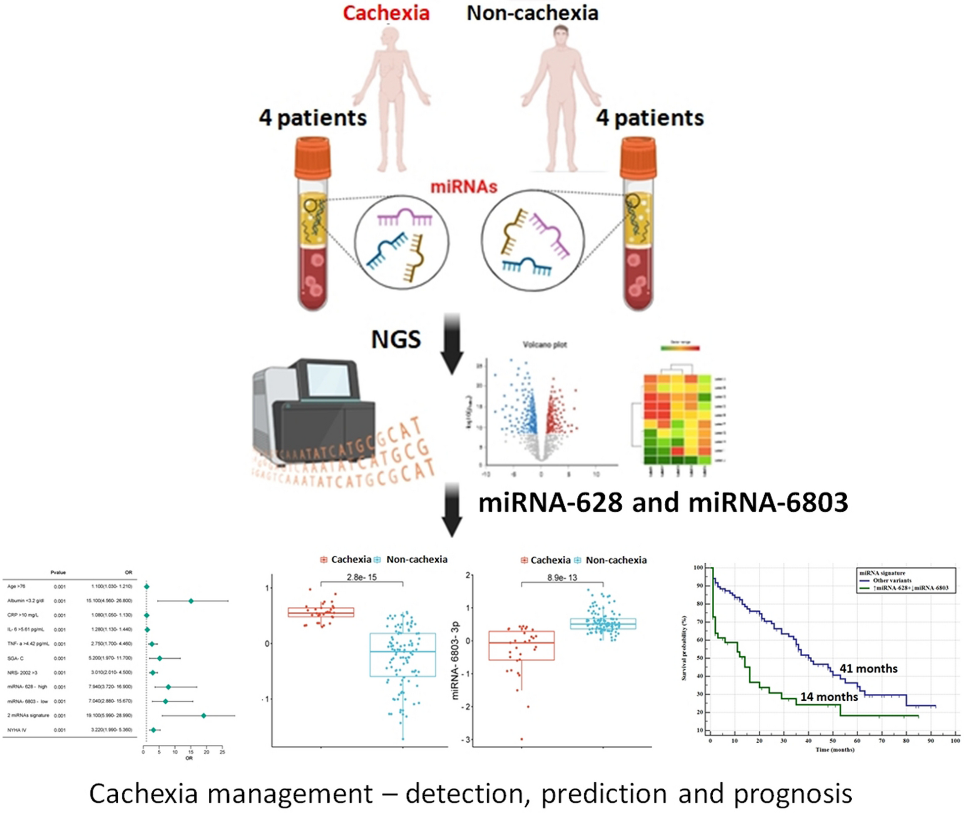 Circulating miRNAs Signature as a Predictor of Cachexia in Chronic Heart Failure: Diagnostic and Prognostic Implications
