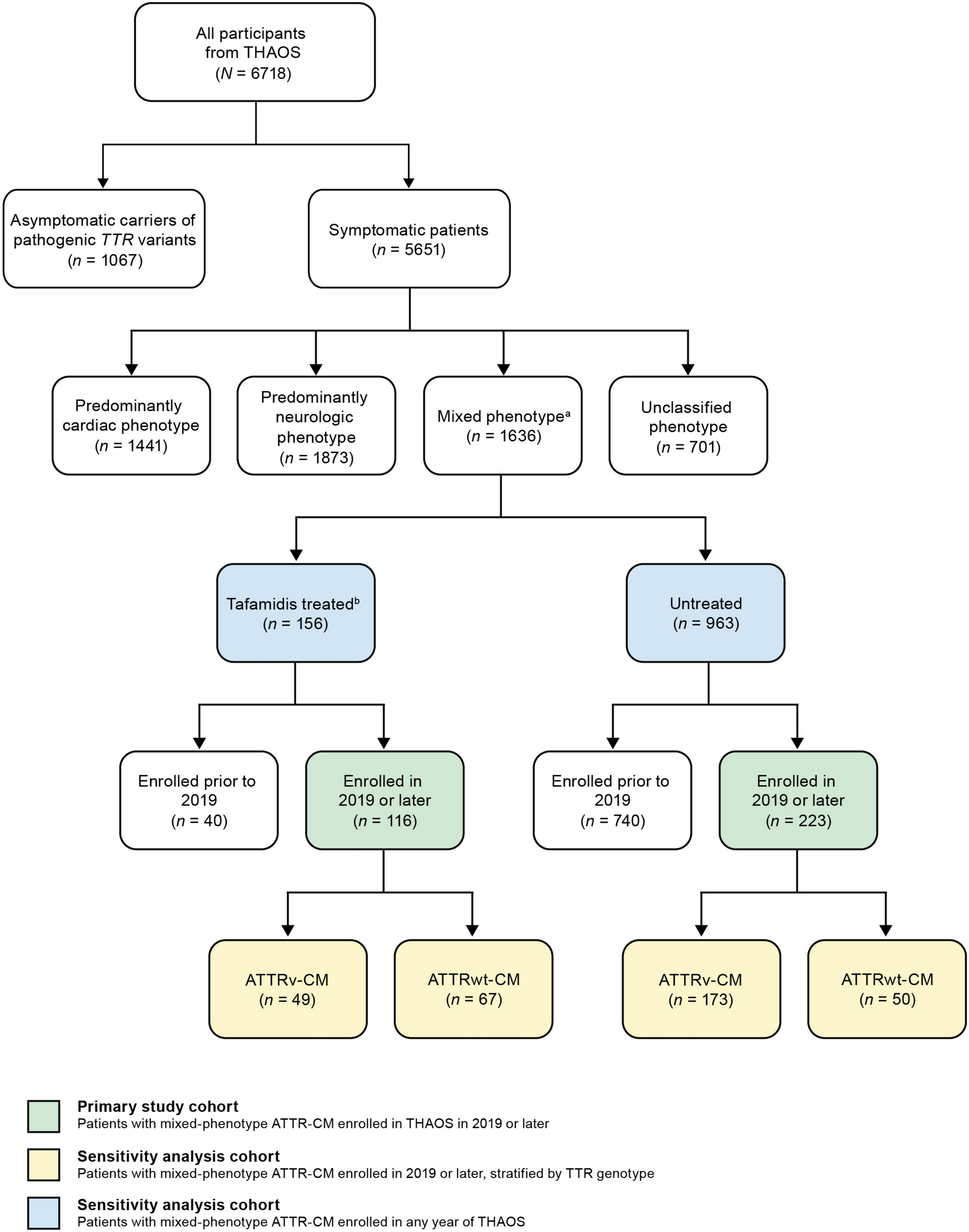 Survival in a Contemporary, Real-World Cohort of Patients with Mixed-Phenotype Transthyretin Amyloid Cardiomyopathy Treated with Tafamidis: An Analysis from THAOS