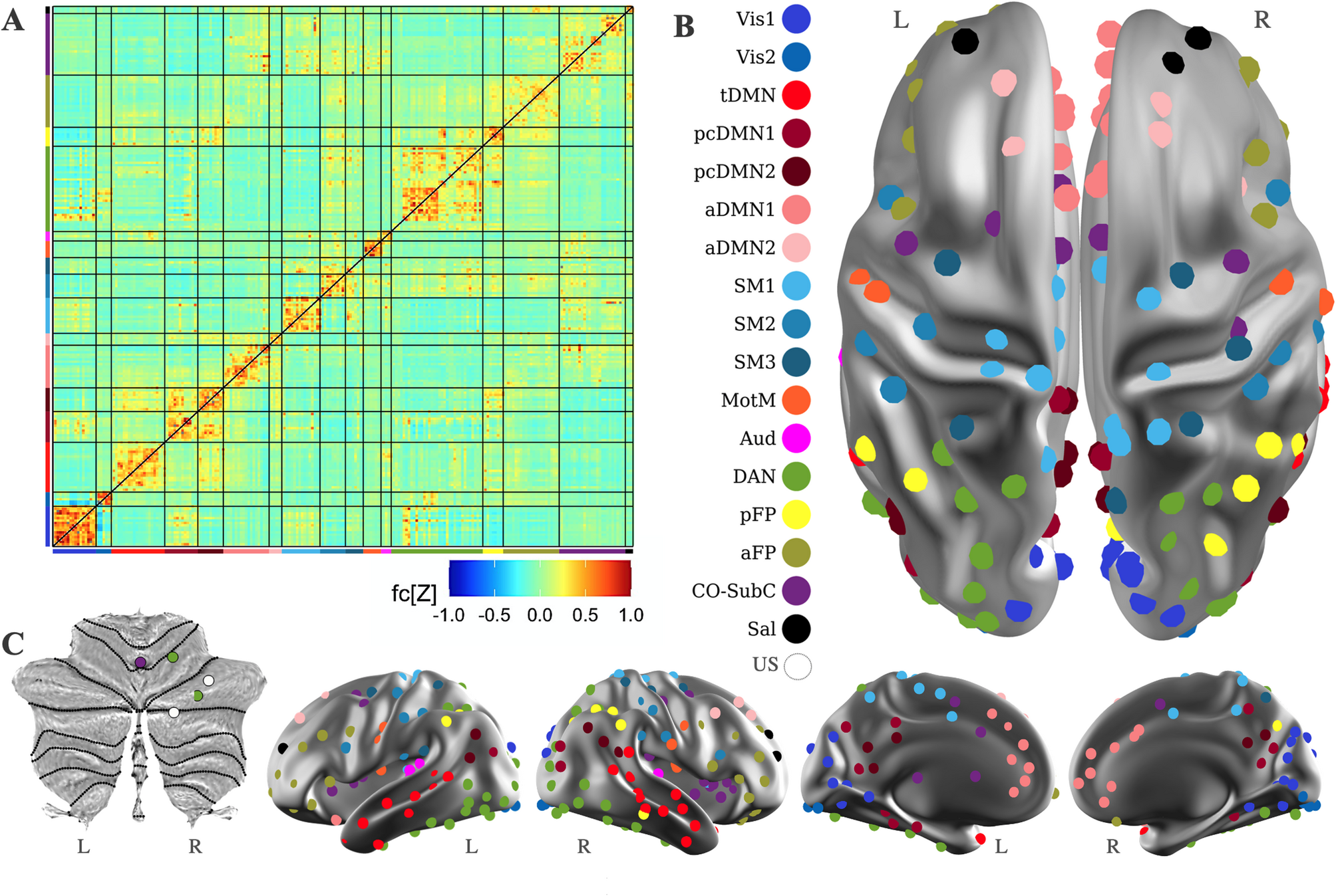 Brain functional connectivity correlates of autism diagnosis and familial liability in 24-month-olds