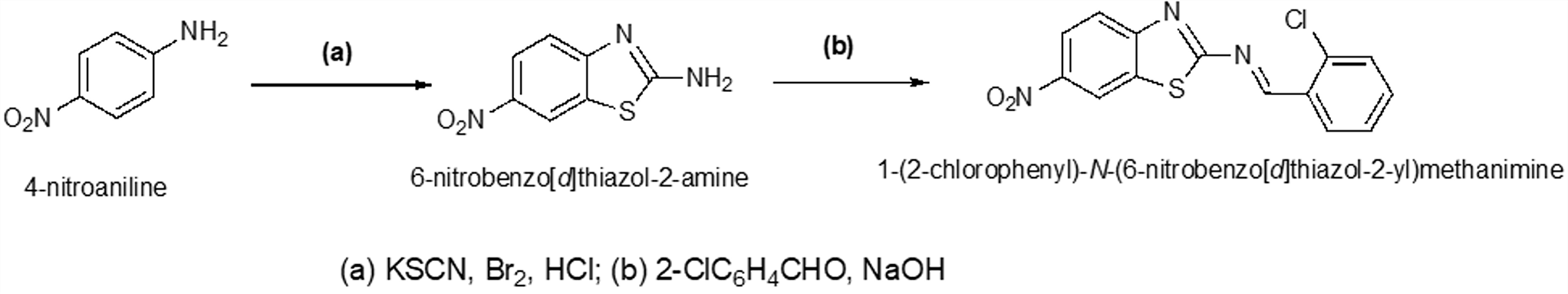 Efficacy of 6-nitrobenzo[d]thiazol-2 Amine Derivative (N3) in Mitigating PTZ-Induced Epileptic Conditions  Modulation of Inflammatory and Neuroprotective Pathways  Zebrafish
