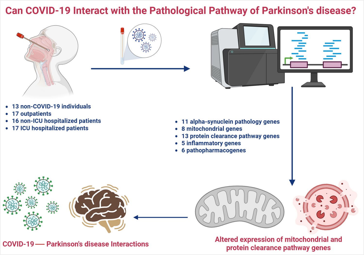 COVID-19 Alters Inflammatory, Mitochondrial, and Protein Clearance Pathway Genes: Potential Implications for New-onset Parkinsonism in Patients