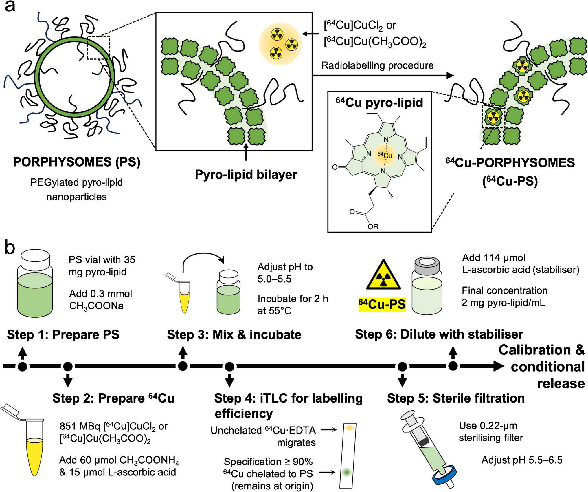 Radiopharmaceutical kit to prepare Copper-64 labelled porphyrin-lipid nanoparticles for radiotracer imaging studies in cancer patients