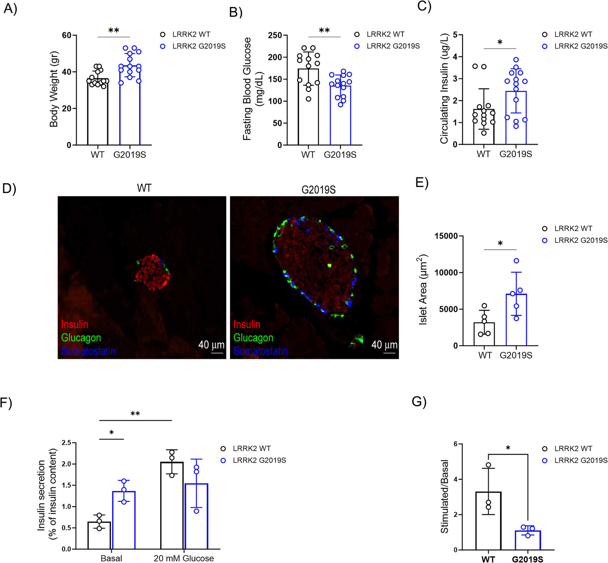 LRRK2 kinase modulates glucose-stimulated insulin secretion via RAB8 phosphorylation and ciliogenesis